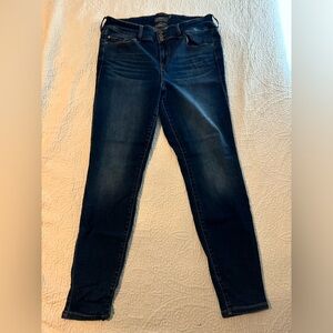Torrid Jeggings Skinny Jeans 16T